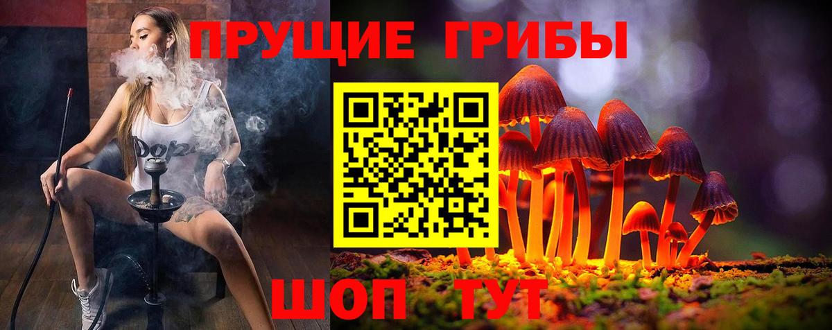 Гатчина  Галлюциногенные грибы Psilocybe  купить наркотик  Псилоцибиновые грибы MAGIC MUSHROOMS  Вход с VPN 