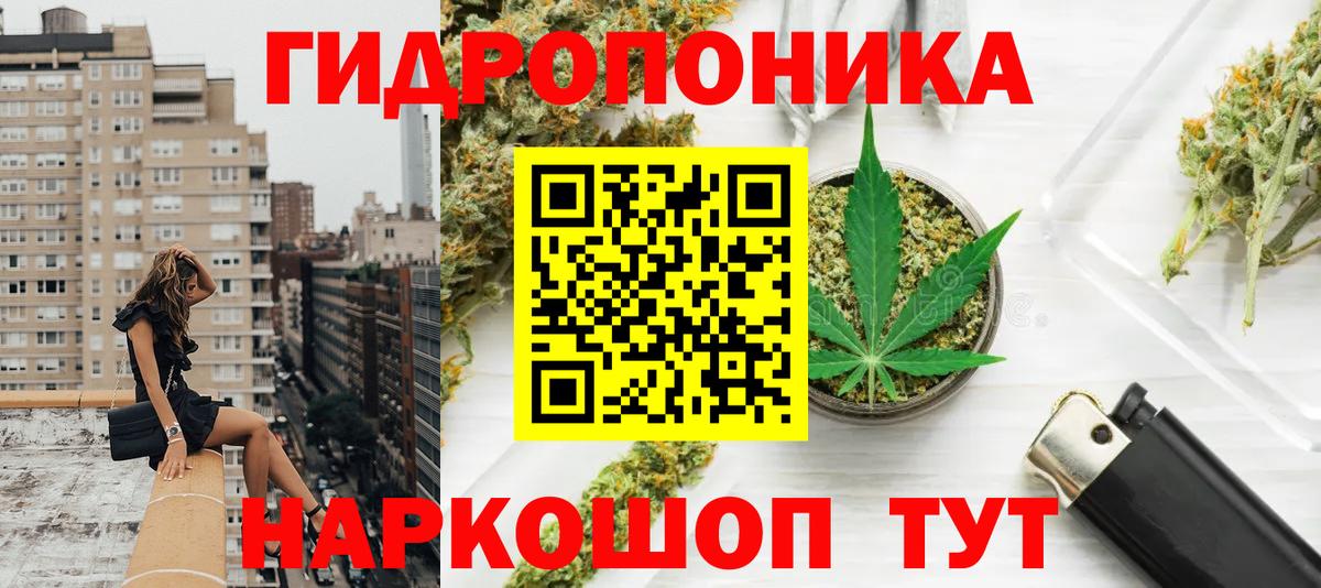 Конопля White Widow  Конопля марихуана  Вход с VPN  Гатчина  МАРИХУАНА THC 21% 